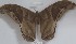  ( - YB-BCI1467)  @12 [ ] No Rights Reserved  Unspecified Unspecified