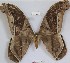  ( - YB-BCI23345)  @13 [ ] No Rights Reserved  Unspecified Unspecified
