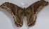  ( - YB-BCI421)  @13 [ ] No Rights Reserved  Unspecified Unspecified