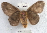  ( - YB-BCI20641)  @13 [ ] No Rights Reserved  Unspecified Unspecified