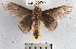  ( - YB-BCI20650)  @13 [ ] No Rights Reserved  Unspecified Unspecified