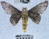 ( - YB-BCI31583)  @13 [ ] No Rights Reserved (2011) Unspecified Unspecified