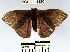  ( - YB-BCI1120)  @12 [ ] No Rights Reserved  Unspecified Unspecified