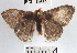  ( - YB-BCI14639)  @12 [ ] No Rights Reserved  Unspecified Unspecified