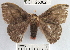  ( - YB-BCI25362)  @12 [ ] No Rights Reserved  Unspecified Unspecified