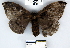  ( - YB-BCI33417)  @12 [ ] No Rights Reserved  Unspecified Unspecified