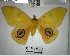  ( - YB-BCI184463)  @11 [ ] No Rights Reserved  Unspecified Unspecified