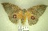  ( - YB-BCI173487)  @11 [ ] No Rights Reserved  Unspecified Unspecified