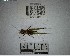  (Lagarolampis - YB-BCI195059)  @11 [ ] No Rights Reserved  Unspecified Unspecified