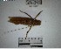  (Thamnobates - YB-BCI195171)  @11 [ ] No Rights Reserved  Unspecified Unspecified