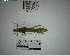  (Hetaira - YB-BCI195228)  @11 [ ] No Rights Reserved  Unspecified Unspecified