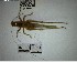  (Subria - YB-BCI195064)  @11 [ ] No Rights Reserved  Unspecified Unspecified