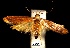  ( - SG-BCISP-2040)  @14 [ ] No Rights Reserved (2013) Unspecified NA