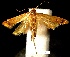  ( - SG-BCISP-4020)  @14 [ ] No Rights Reserved (2013) Unspecified NA