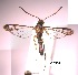 ( - SG-BCISP-70)  @12 [ ] No Rights Reserved (2013) Unspecified NA