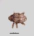  ( - SG-BCISP-715)  @13 [ ] No Rights Reserved (2015) Unspecified n/a
