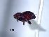  ( - SG-BCISP1316)  @12 [ ] Unspecified (default): All Rights Reserved  Unspecified Unspecified