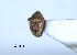  ( - SG-BCISP1536)  @12 [ ] Unspecified (default): All Rights Reserved  Unspecified Unspecified