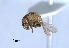  ( - SG-BCISP1539)  @12 [ ] Unspecified (default): All Rights Reserved  Unspecified Unspecified