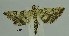  ( - SG-BCISP154)  @13 [ ] Unspecified (default): All Rights Reserved  Unspecified Unspecified