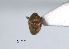  ( - SG-BCISP1540)  @12 [ ] Unspecified (default): All Rights Reserved  Unspecified Unspecified