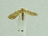  ( - SG-BCISP-2035)  @12 [ ] No Rights Reserved (2013) Unspecified NA