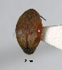  ( - SG-BCISP2494)  @12 [ ] Unspecified (default): All Rights Reserved  Unspecified Unspecified
