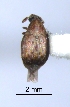  ( - SG-BCISP259)  @13 [ ] Unspecified (default): All Rights Reserved  Unspecified Unspecified