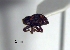  ( - SG-BCISP2822)  @12 [ ] Unspecified (default): All Rights Reserved  Unspecified Unspecified