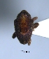  ( - SG-BCISP2895)  @12 [ ] Unspecified (default): All Rights Reserved  Unspecified Unspecified