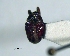  ( - SG-BCISP2990)  @11 [ ] Unspecified (default): All Rights Reserved  Unspecified Unspecified