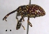  ( - SG-BCISP411)  @13 [ ] Unspecified (default): All Rights Reserved  Unspecified Unspecified