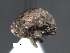  ( - SG-BCISP-4519)  @11 [ ] No Rights Reserved (2013) Unspecified NA
