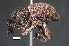 ( - SG-BCISP-493-2014)  @14 [ ] No Rights Reserved (2015) Unspecified n/a