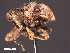  (Tyrannion - SG-BCISP-708)  @13 [ ] No Rights Reserved (2013) Unspecified NA