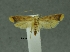  ( - SG-BCISP-8964)  @13 [ ] No Rights Reserved (2013) Unspecified n/a