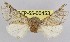  ( - LEP-SS-00453)  @13 [ ] No Rights Reserved (2016) Unspecified Dip. Agricoltura, Ambiente, Alimenti - UNIMOL