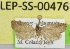  ( - LEP-SS-00476)  @13 [ ] No Rights Reserved (2016) Unspecified Dip. Agricoltura, Ambiente, Alimenti - UNIMOL