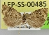  ( - LEP-SS-00485)  @11 [ ] No Rights Reserved (2016) Unspecified Dip. Agricoltura, Ambiente, Alimenti - UNIMOL