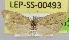  ( - LEP-SS-00493)  @13 [ ] No Rights Reserved (2016) Unspecified Dip. Agricoltura, Ambiente, Alimenti - UNIMOL