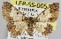  ( - LEP-SS-00515)  @14 [ ] No Rights Reserved (2016) Unspecified Dip. Agricoltura, Ambiente, Alimenti - UNIMOL