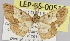  ( - LEP-SS-00516)  @13 [ ] No Rights Reserved (2016) Unspecified Dip. Agricoltura, Ambiente, Alimenti - UNIMOL