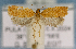  ( - LEP-SS-07489)  @11 [ ] No Rights Reserved (2025) Stefano Scalercio Consiglio per la ricerca in agricoltura e l'analisi dell'economia agraria