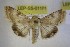  ( - LEP-SS-01101)  @11 [ ] No Rights Reserved (nrr) (2021) Unspecified Centro di Ricerca Foreste e Legno
