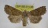  ( - LEP-SS-01138)  @11 [ ] No Rights Reserved (nrr) (2021) Unspecified Centro di Ricerca Foreste e Legno