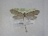  ( - LEP-SS-01194)  @11 [ ] No Rights Reserved (nrr) (2021) Unspecified Centro di Ricerca Foreste e Legno