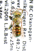  (Osmia regulina - LRBBC872)  @12 [ ] CreativeCommons - Attribution Non-Commercial Share-Alike (2010) Unspecified York University