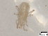  ( - CBG-B07212-H03)  @11 [ ] CreativeCommons - Attribution Share - Alike (2025) Centre for Biodiversity Genomics Centre for Biodiversity Genomics