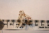  ( - P128)  @12 [ ] CreativeCommons - Attribution (2011) Elizabeth Clare Centre for Biodiversity Genomics