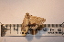  ( - P143)  @12 [ ] CreativeCommons - Attribution (2011) Elizabeth Clare Centre for Biodiversity Genomics